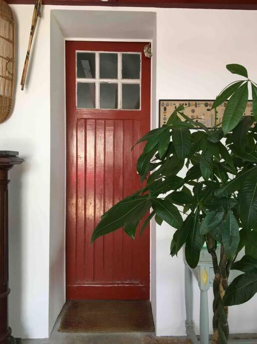 Appartement En Rez De Jardin Сибур Экстерьер фото